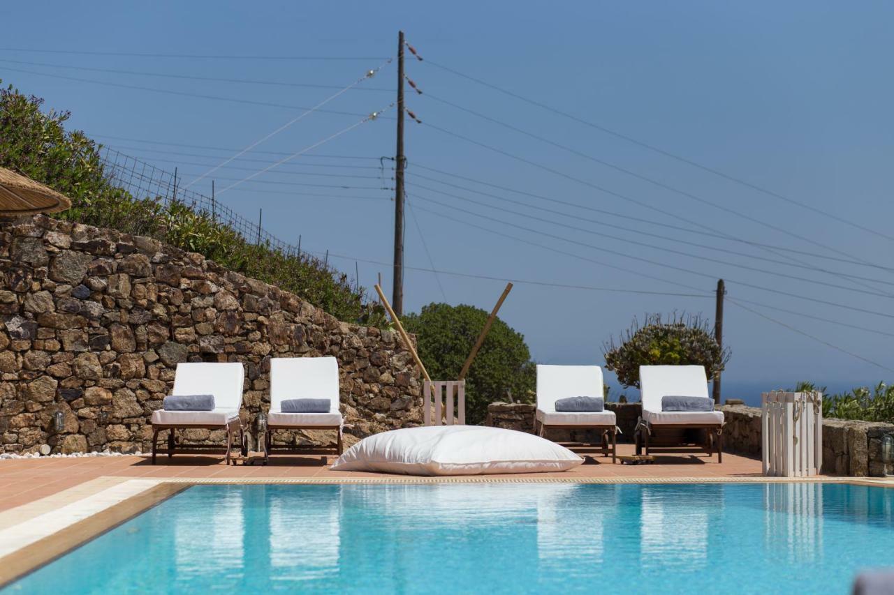 Panorea Complex - Mykonos Άνω Μερά Εξωτερικό φωτογραφία